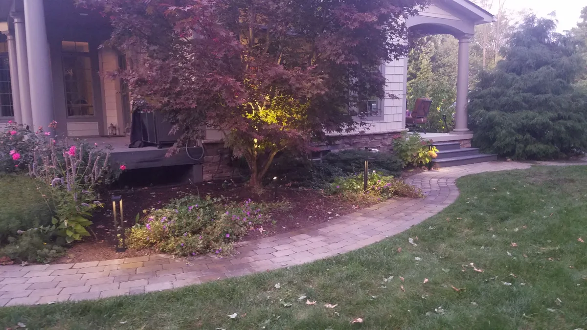 Ornamental tree anchoring a curved planting bed at a Lee's Lawn & Landscaping project